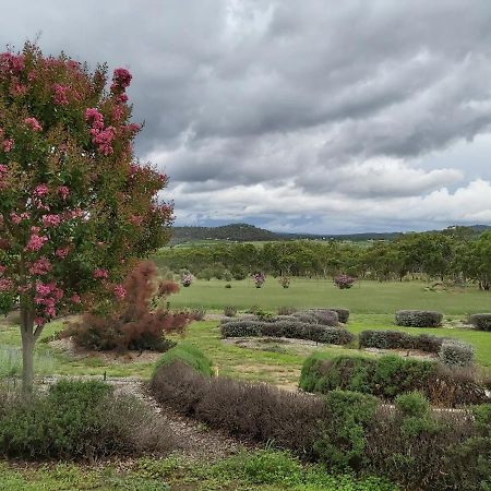 Accommodation Creek Cottages & Sundown View Suites Ballandean エクステリア 写真