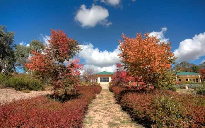 Accommodation Creek Cottages & Sundown View Suites Ballandean エクステリア 写真