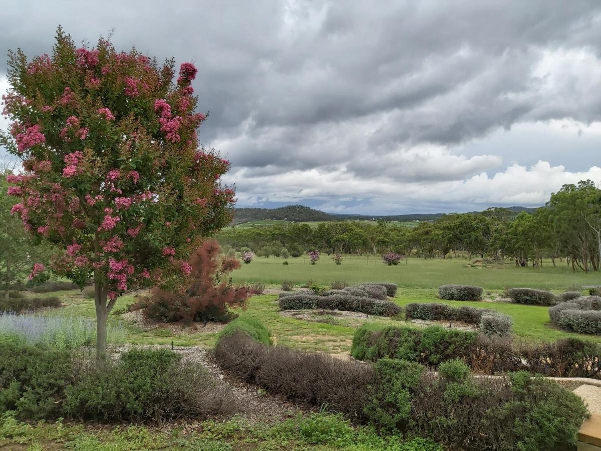 Accommodation Creek Cottages & Sundown View Suites Ballandean エクステリア 写真
